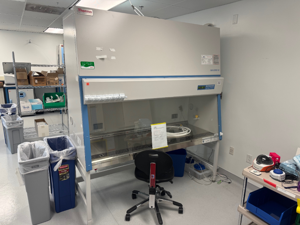 Image of Thermo 1300 Series A2 6' BioSafety Cabinet